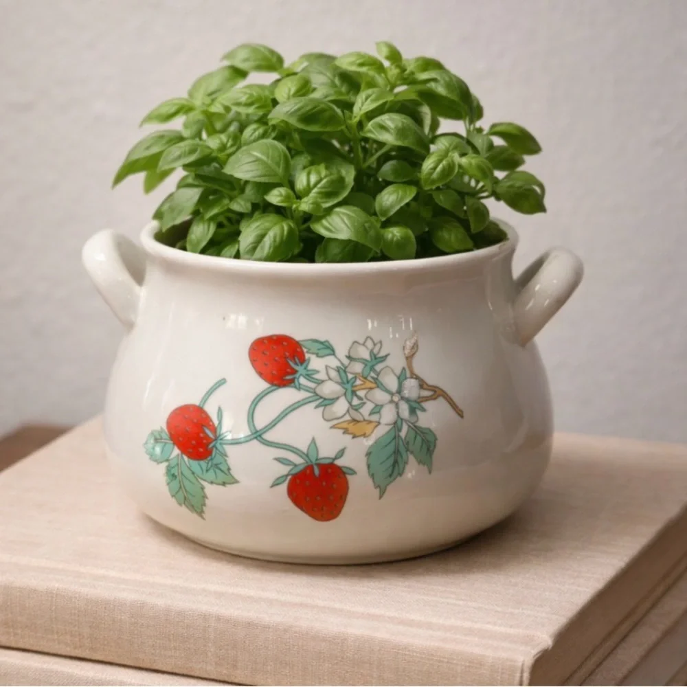 Ceramic Strawberry Serving Bowl and Dish - White with Red Strawberry Motif - Picture 7 of 13